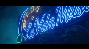 Viva La Vida Music Shop Twinkling Watermelon